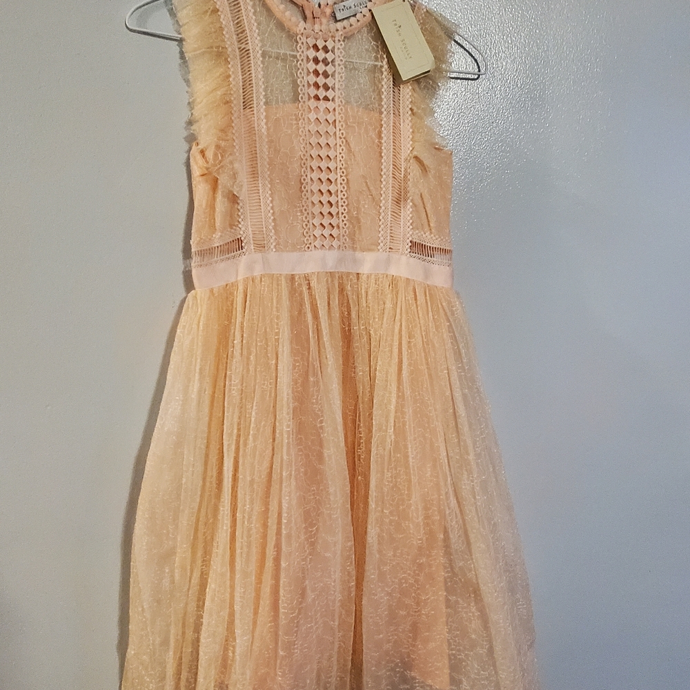 Trish Scully size 10 peach dress. New worn. Brand new.